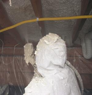 Hamilton ON crawl space insulation